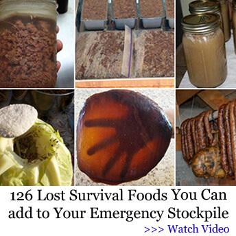 The lost super food-126 Lost Survival Foods You Can add to Your Emergency Stockpile